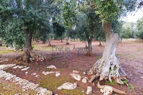 Landejendom i Ostuni, Brindisi, Ostuni - € 135.000 | Ref: 172532 - foto 8